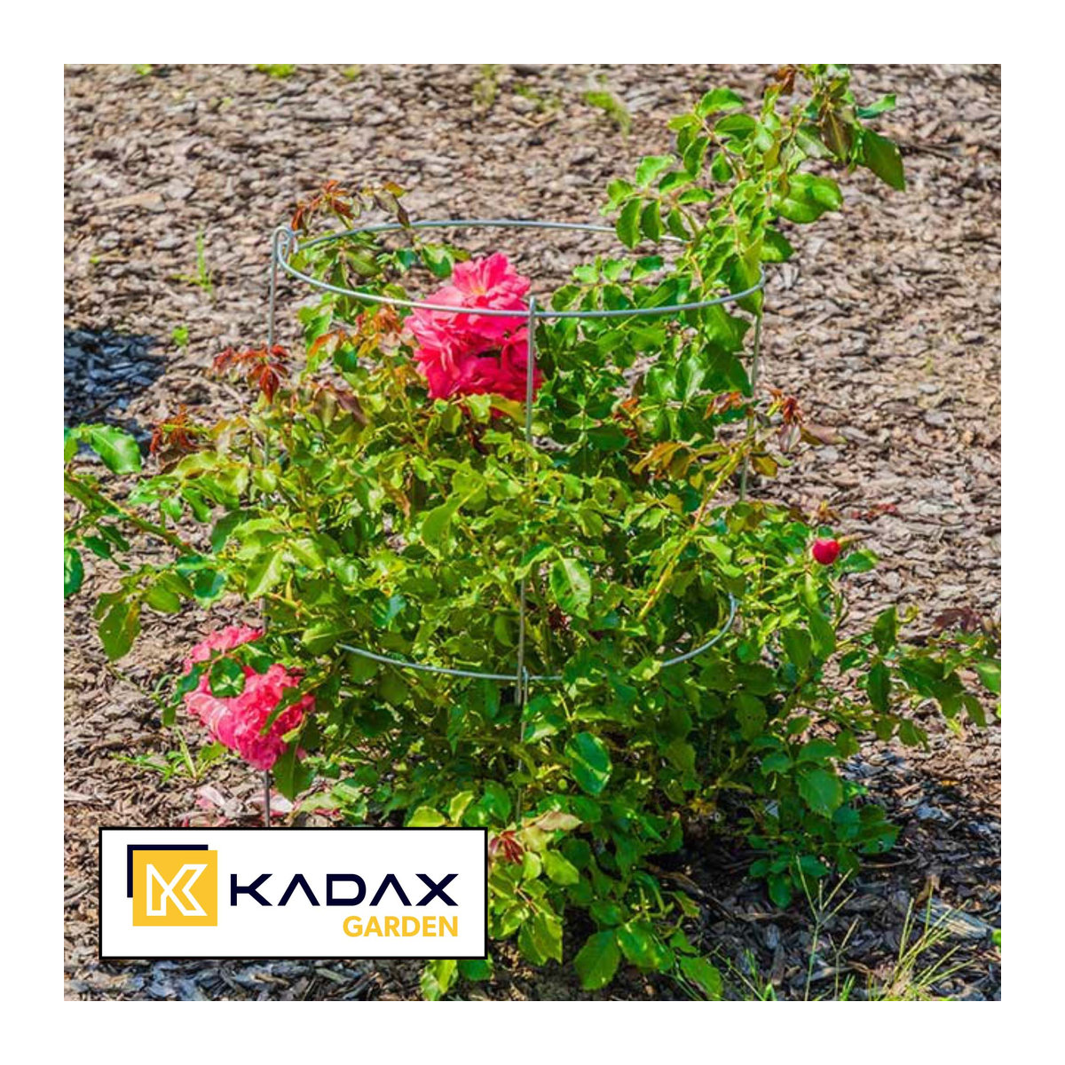 KADAX Pflanzenstütze für Blumen und Garten aus Stahl, 2er-Set, Höhe: 60 cm - Bild 3