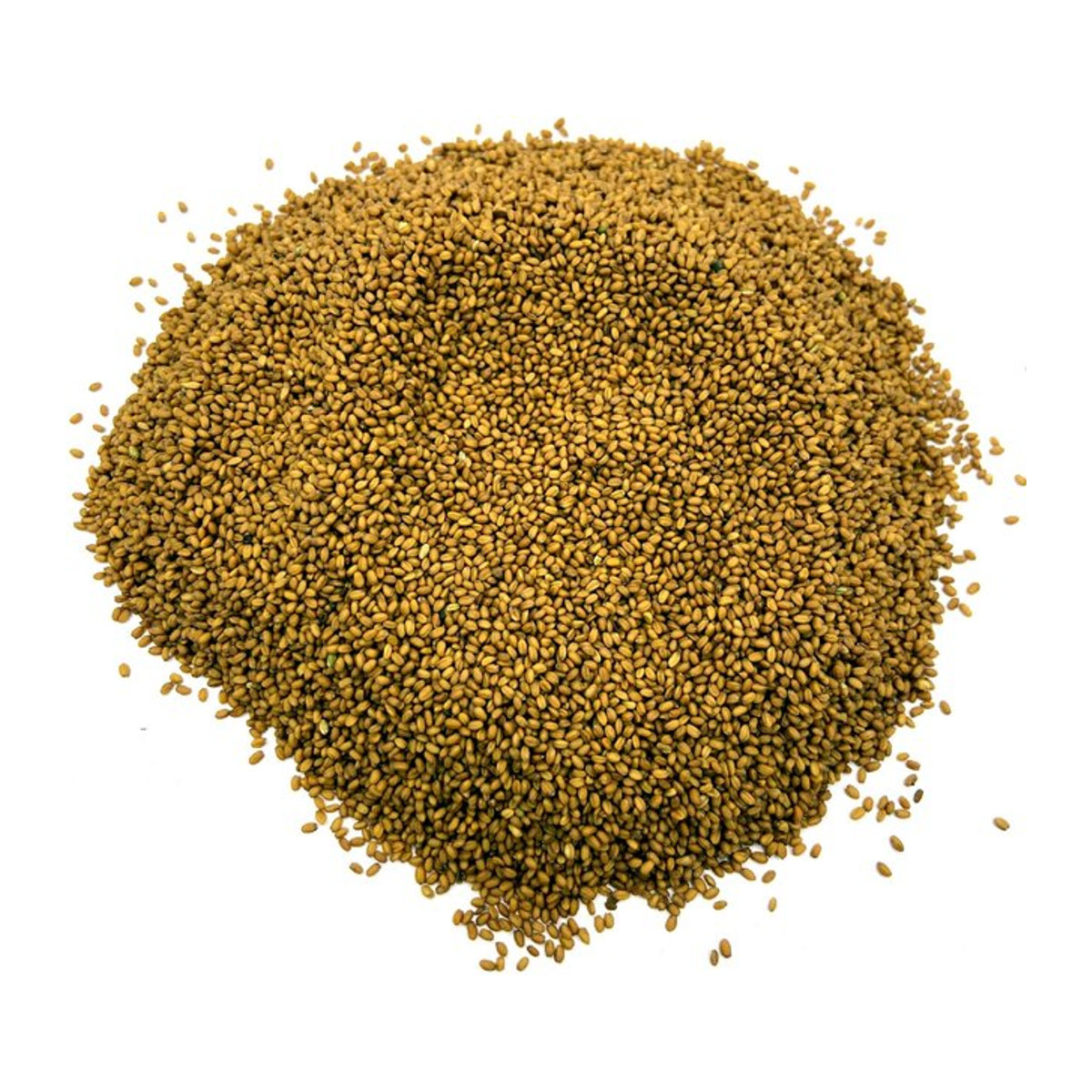Kamela Samen natürlich 1 kg - Bild 1