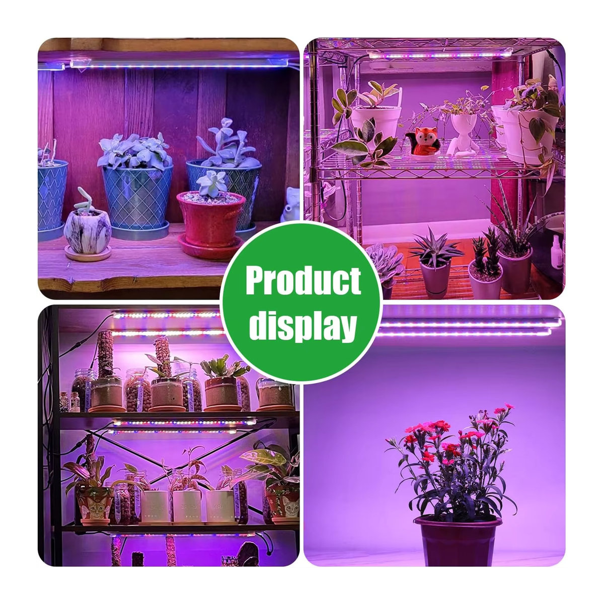 KEBINCPLED Phyto Lampe mit Vollspektrum LED, dimmbar, 3 Farben, USB DC5V mit Timer für Indoor Pflanzen und Hydrokultur - Bild 6
