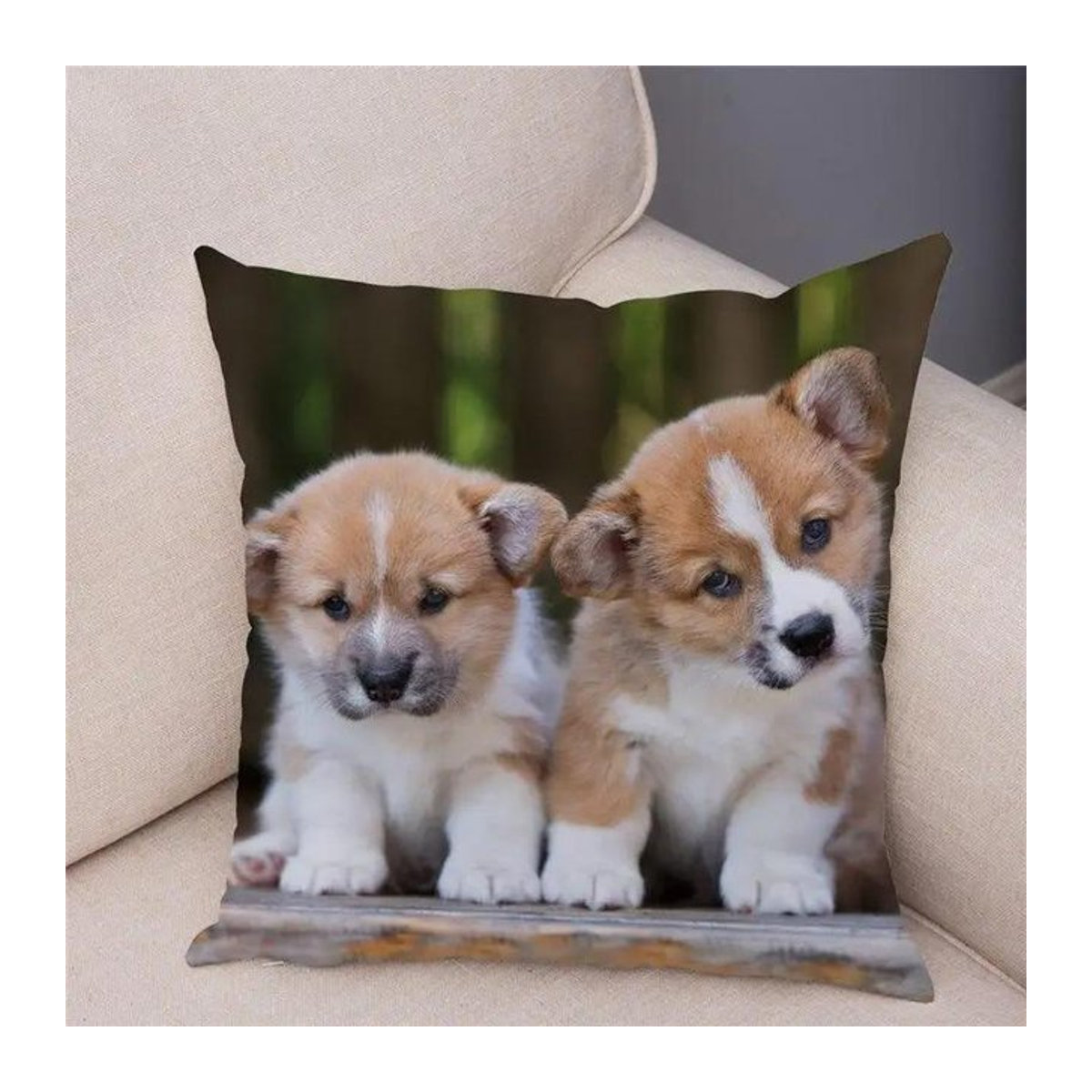 Kissenbezug mit Corgi-Welpenmuster aus Polyester in Peach Skin für dein Wohnzimmer, B/H: 45 x 45 cm - Bild 1