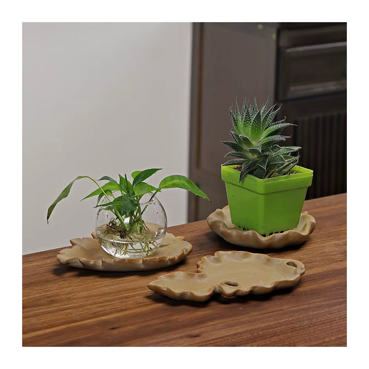 Kreatives Hydrokulturpflanzen-Tablett aus brasilianischem Holz und Keramik in Beige mit floralem Design und unregelmäßiger Form als Tropffänger für Deine Blumentöpfe - Bild 2