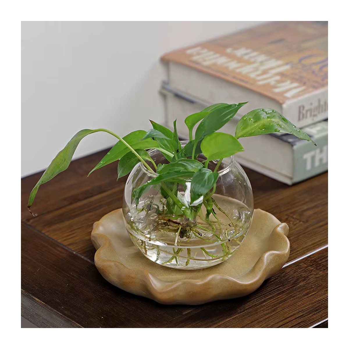 Kreatives Hydrokulturpflanzen-Tablett aus brasilianischem Holz und Keramik in Beige mit floralem Design und unregelmäßiger Form als Tropffänger für Deine Blumentöpfe - Bild 3