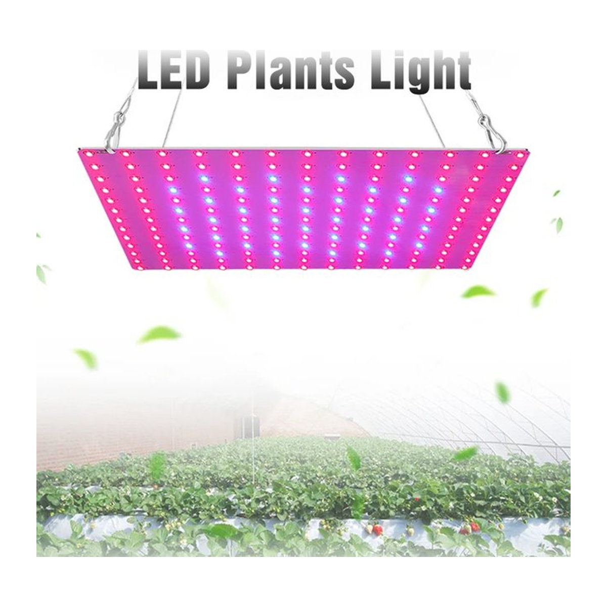 KUALOOL LED-Pflanzenwachstumslicht mit 169 LEDs, Vollspektrum-Wachstumslampe für Hydrokultur, Gemüse und Blumen, minimalistisches Design für den Innenbereich - Bild 1