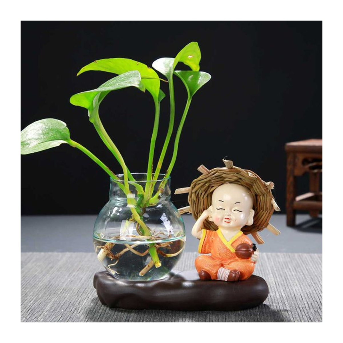 Kugelförmige Glasvase in Transparent für hydroponische Pflanzen und Schnittblumen als kreative Desktop-Dekoration - Bild 1