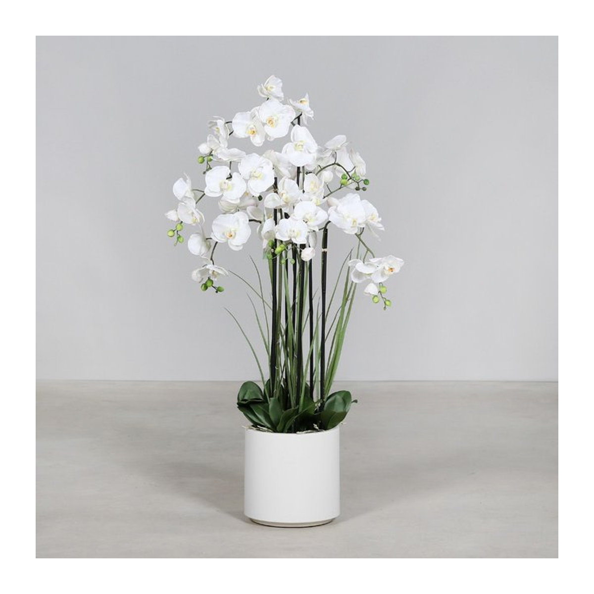 Künstliche Orchidee als Topfpflanze in Beige und Weiß, Höhe: 120 cm - Bild 1