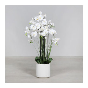 Künstliche Orchidee als Topfpflanze in Beige und Weiß, Höhe: 120 cm