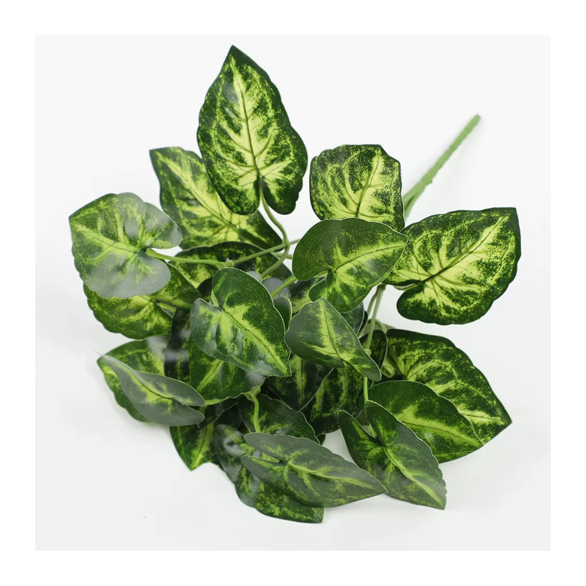 Künstliche Pflanze Nandi Dieffenbachia in Grün aus Kunststoff für Wohnzimmer und Garten - Bild 2