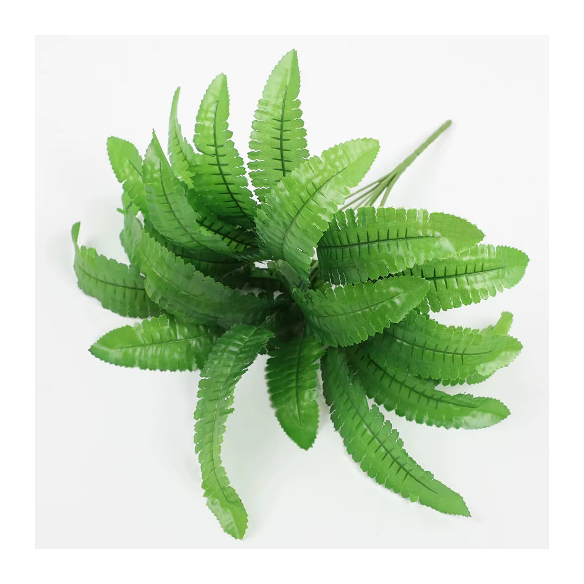 Künstliche Pflanze Nandi Dieffenbachia in Grün aus Kunststoff für Wohnzimmer und Garten - Bild 3