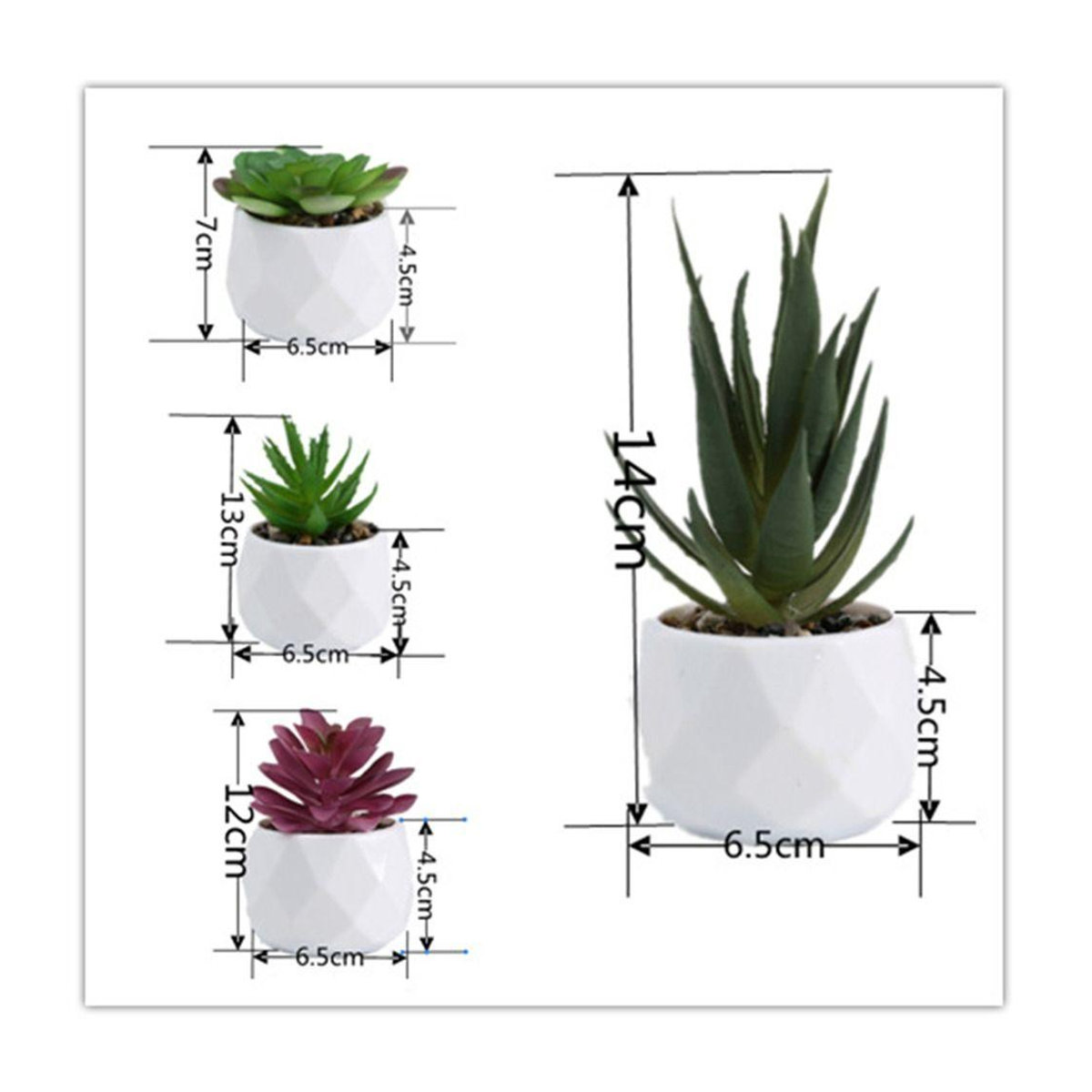 Künstliche Sukkulenten Bonsai Pflanze von Garden Supplies My in Mehrfarbig mit Keramiktopf - Bild 5