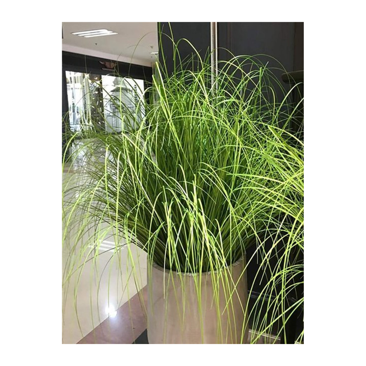 Künstliches Schilfrohrgras von Kmitang in Grün, 55 cm große tropische Zwiebelgraspflanzen aus Kunststoff für Dekoration und Hochzeiten - Bild 1