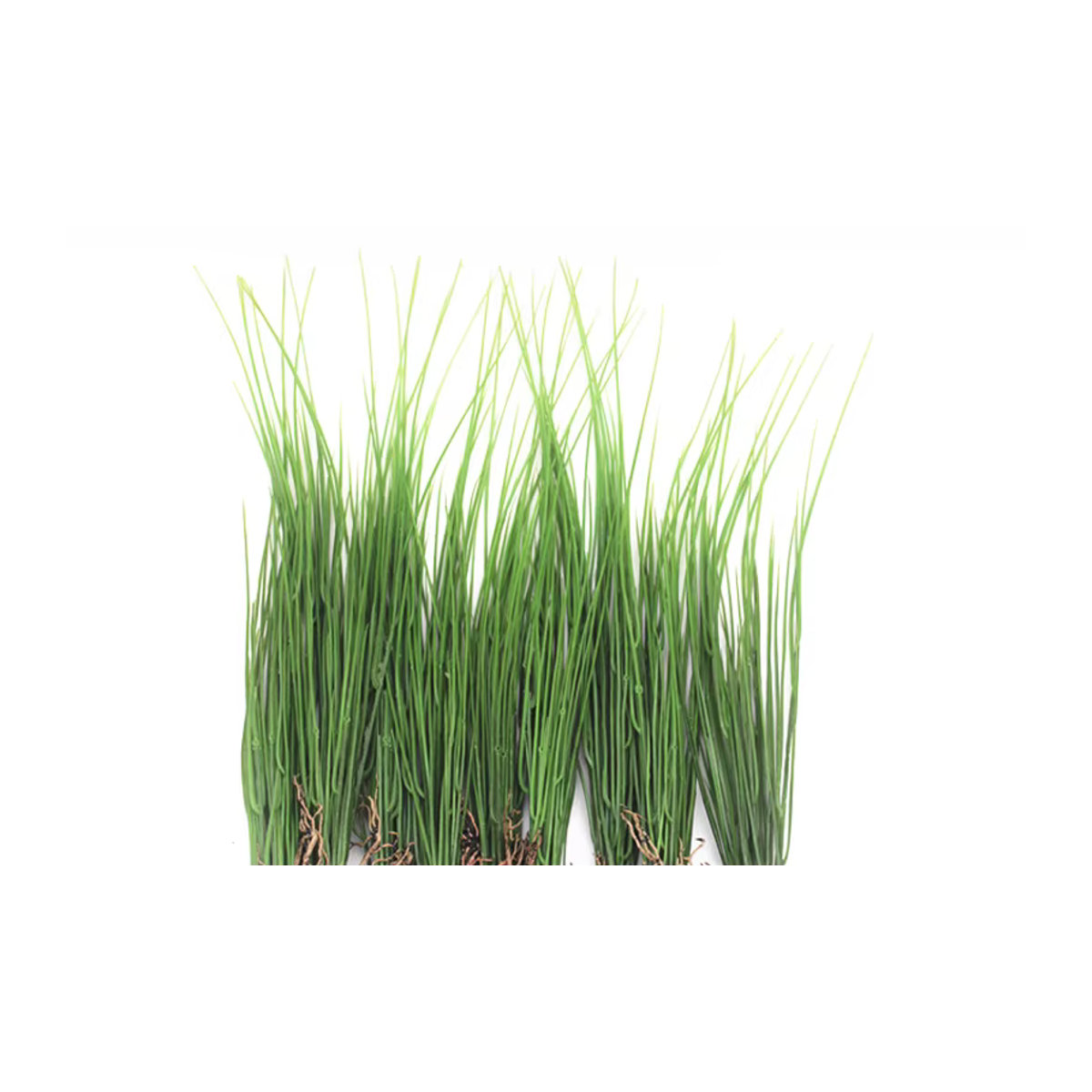Künstliches Zwiebelgras Bündel von Kmitang in Grün aus Kunststoff für Garten und Wohnkultur, Höhe: 45 cm - Bild 3