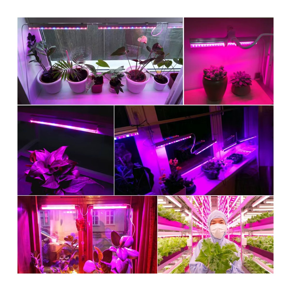 Lcamaw Vollspektrum LED Pflanzenlampe T5 Röhre für Hydrokultur und Pflanzenwachstum, Länge: 29 cm - Bild 4