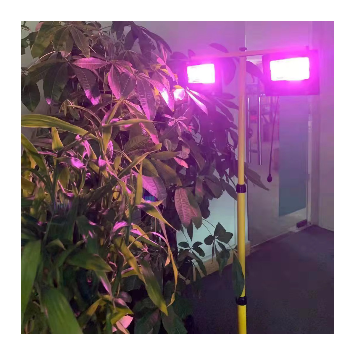 Leclstar Solar-LED-Pflanzenwachstumslampe Schwarz, 35/60 W Vollspektrum-Außenstrahler mit Fernbedienung und wasserdichter Phytolampe für Innen- und Außenbereich - Bild 4