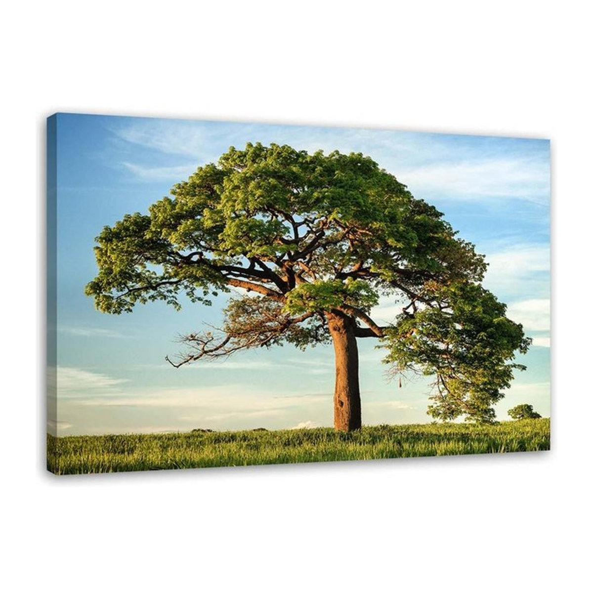 Leinwandbild Baumlandschaft Natur von Feeby in Grün, B/H: 60 x 40 cm - Bild 1