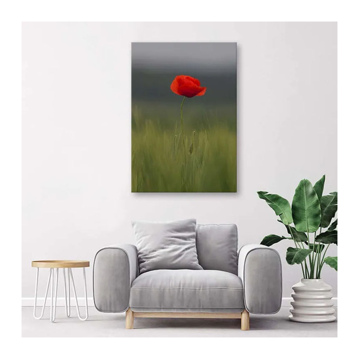 Leinwandbild Feeby Mohn auf einem Feld, modernes florales Motiv in Querformat, mehrfarbig, B: 60 cm, H: 40 cm - Bild 3