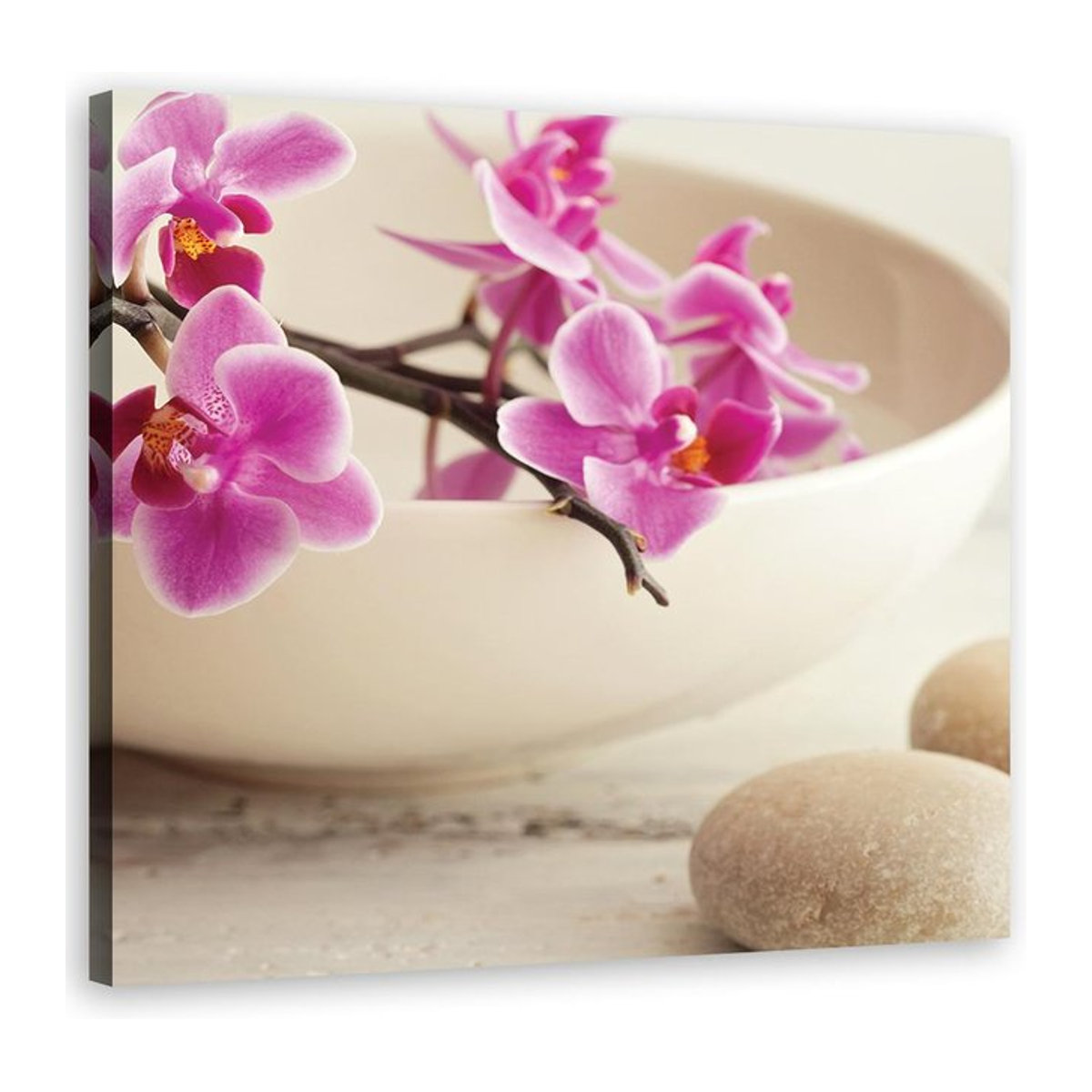 Leinwandbild Rosa Orchideen von Feeby, quadratisch, B/H: 30 x 30 cm - Bild 1