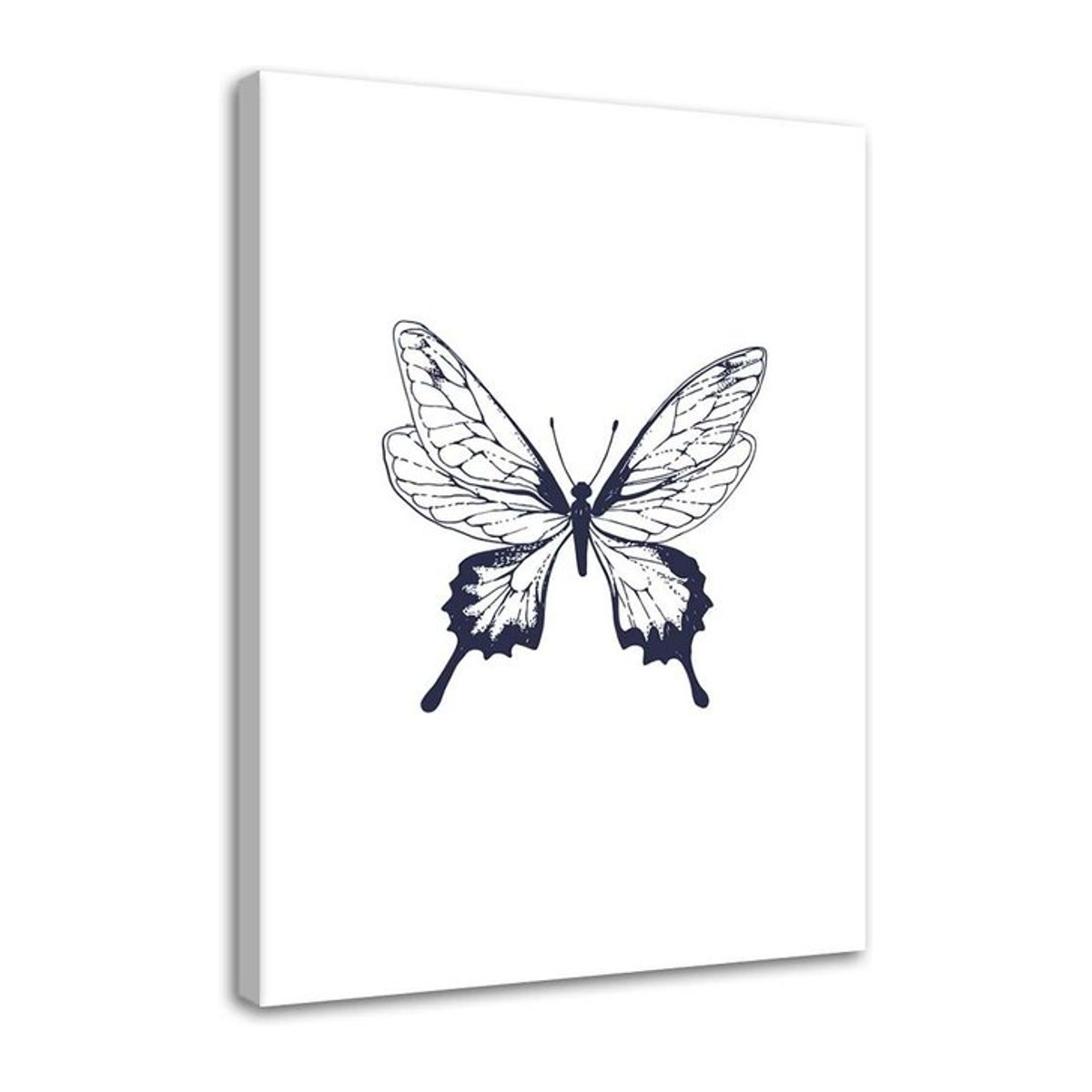 Leinwanddruck Feeby Gezeichneter Schmetterling in Schwarz/Weiß, Breite: 60 cm, Höhe: 90 cm - Bild 1