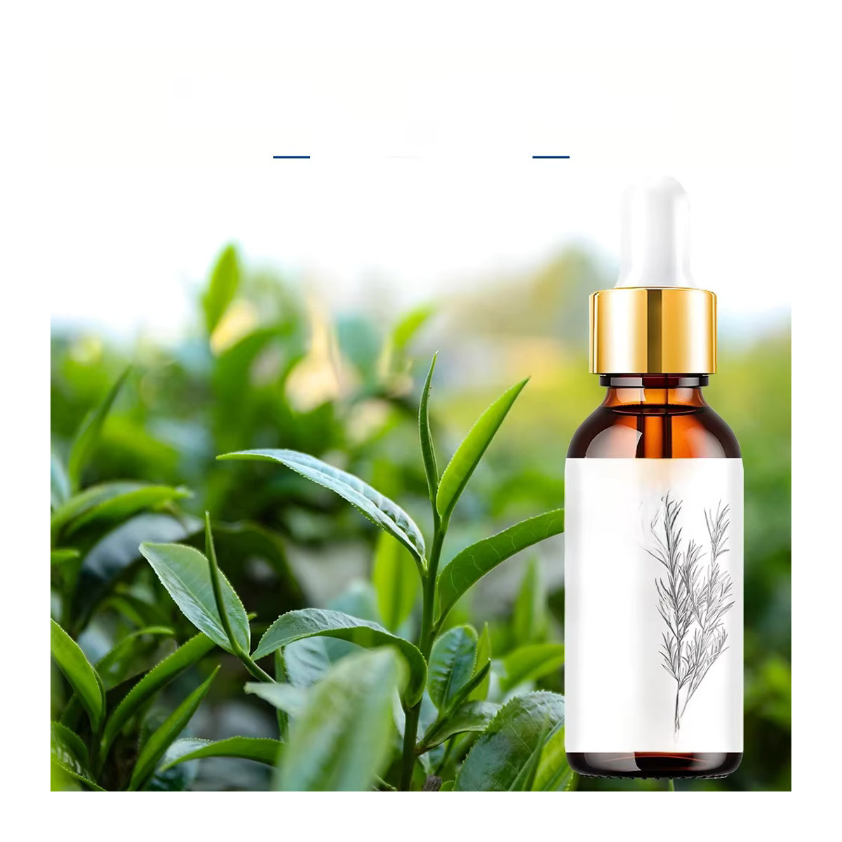 LGRAMER Ätherisches Teebaumöl, 100 % rein, Woody, 30 ml - Bild 6