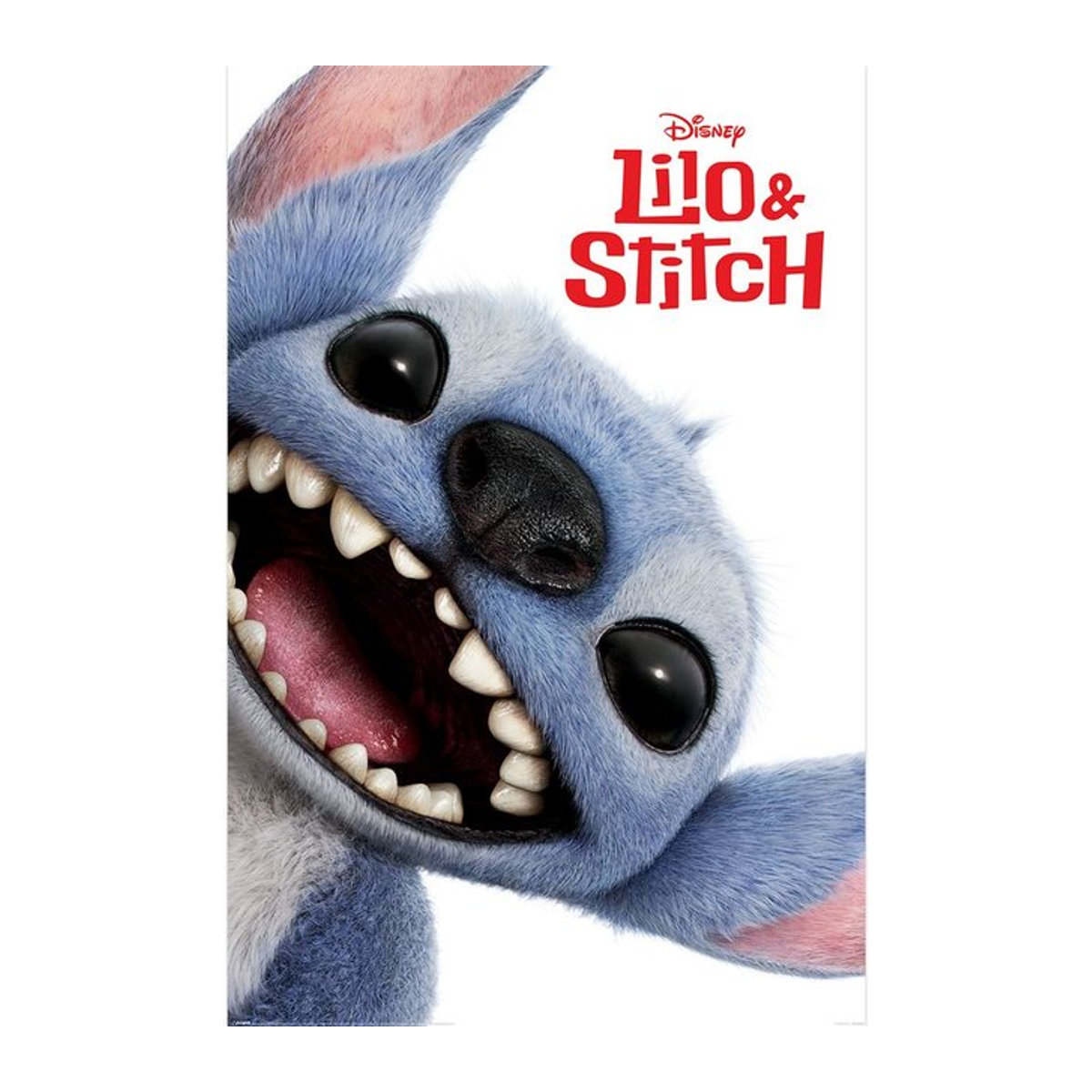 Lilo & Stitch Live Action Maxi Stitch Papierposter in Schwarz, Breite: 91.5 cm - Bild 1