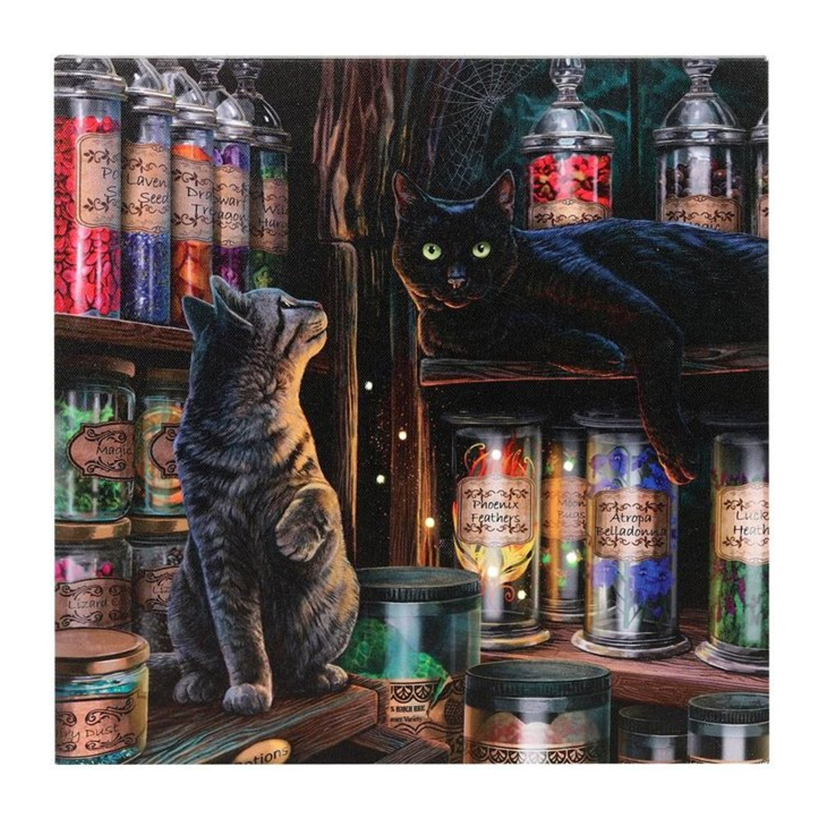 Lisa Parker Magical Emporium Gerahmte Leinwand mit Katzen Motiv in Schwarz B: 30,0 cm, H: 30,0 cm, T: 1,8 cm - Bild 1