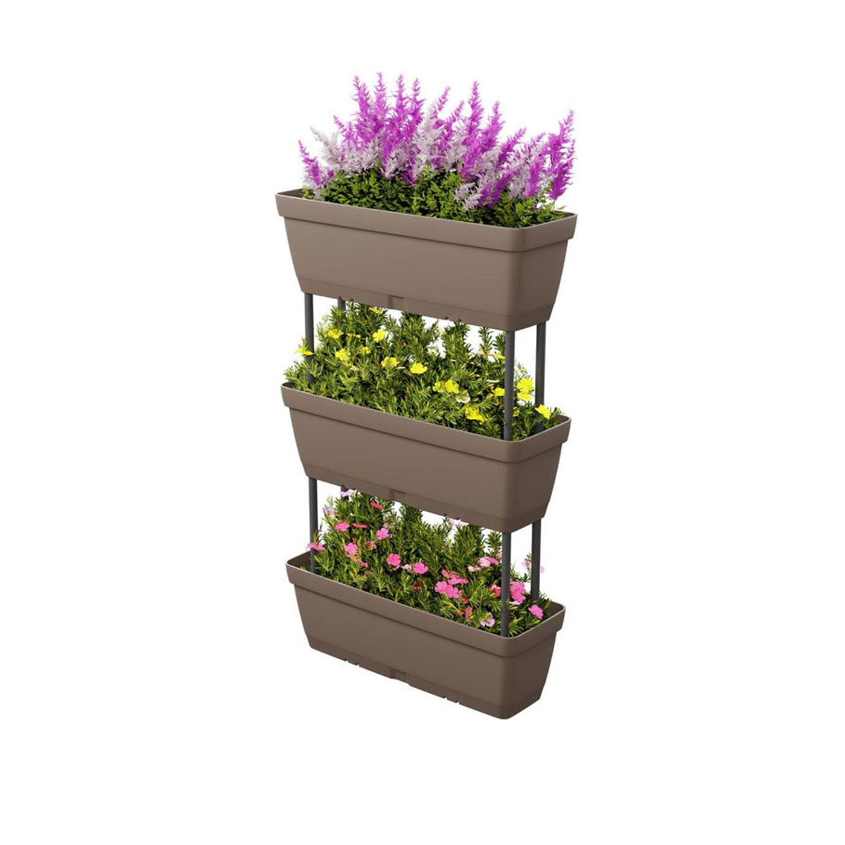 Lolego Veg Pflanzständer aus Polypropylen in Grau, B/H/L: 17 x 32 x 50 cm - Bild 1
