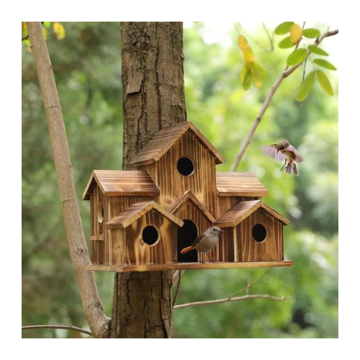 Love Pet House Vogelhaus aus Holz für draußen in Schwarz und Braun - Bild 2