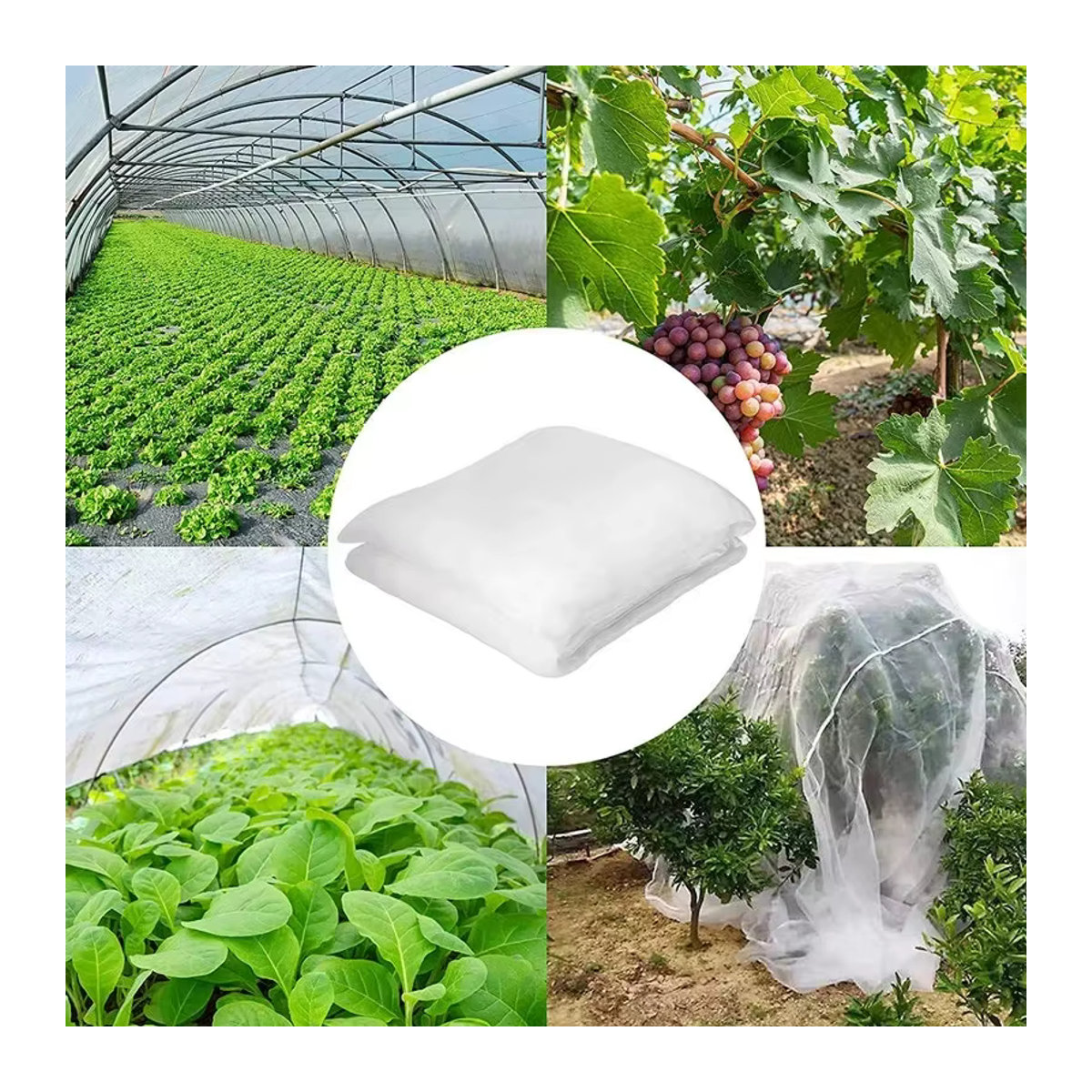 MAHFPME Insektenschutznetz für Garten und Gewächshaus als Vogelschutz und Abdeckung für Obst, Blumen und Gemüse - Bild 3
