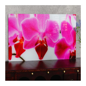MCW Glasbild Orchidee in Rosa, Wandbild Motiv Floral, B: 40 cm, H: 60 cm