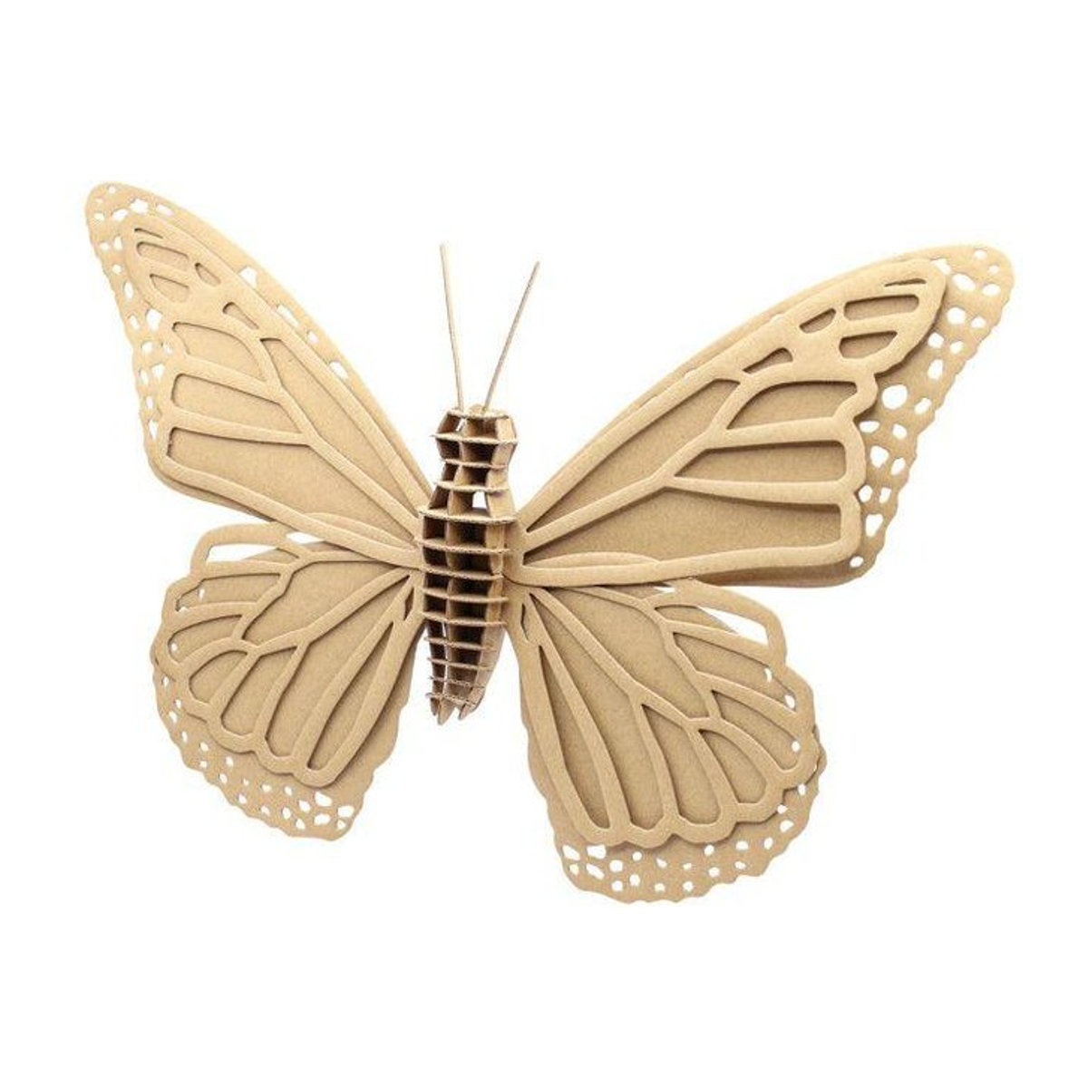 MegaCrea Pappmodell Schmetterling aus Karton, B/T/H: 59,5 x 36 x 4,5 cm - Bild 1