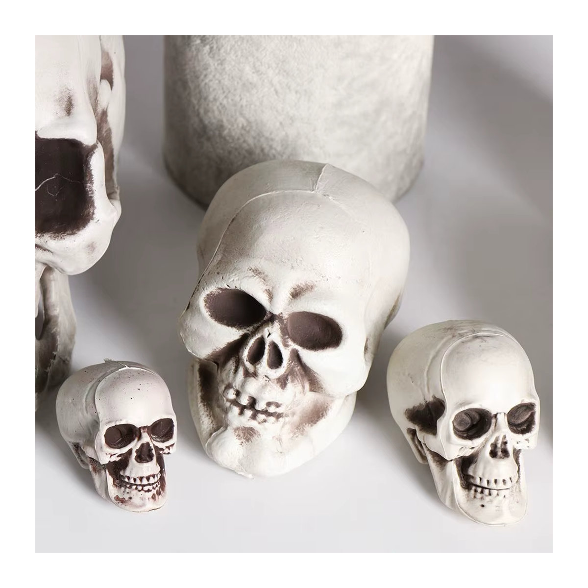 Menschlicher Schädel als Halloween-Deko in Weiß - Bild 3