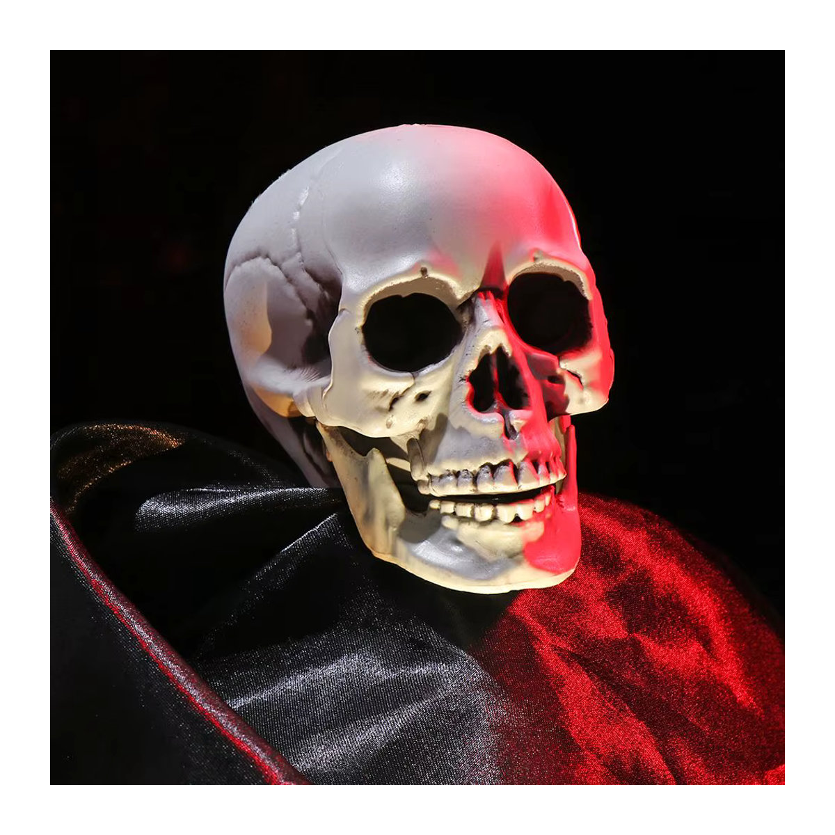 Menschlicher Schädel als Halloween-Deko in Weiß - Bild 4