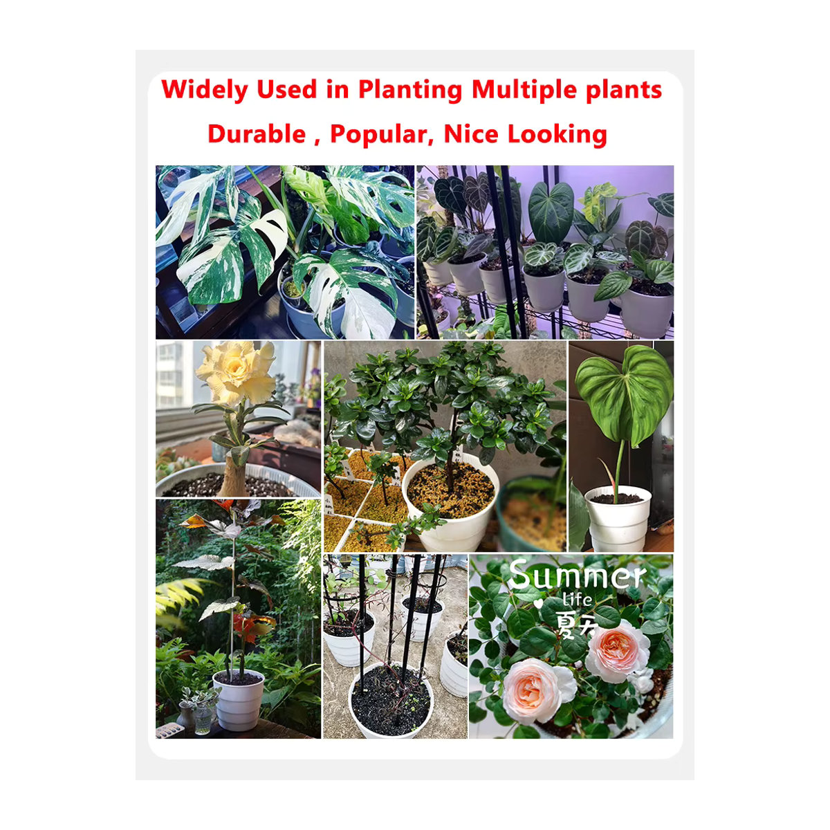 Meshpot Kunststoff Blumentopf mit Belüftungslöchern für Garten und Heim Pflanzenzubehör - Bild 4