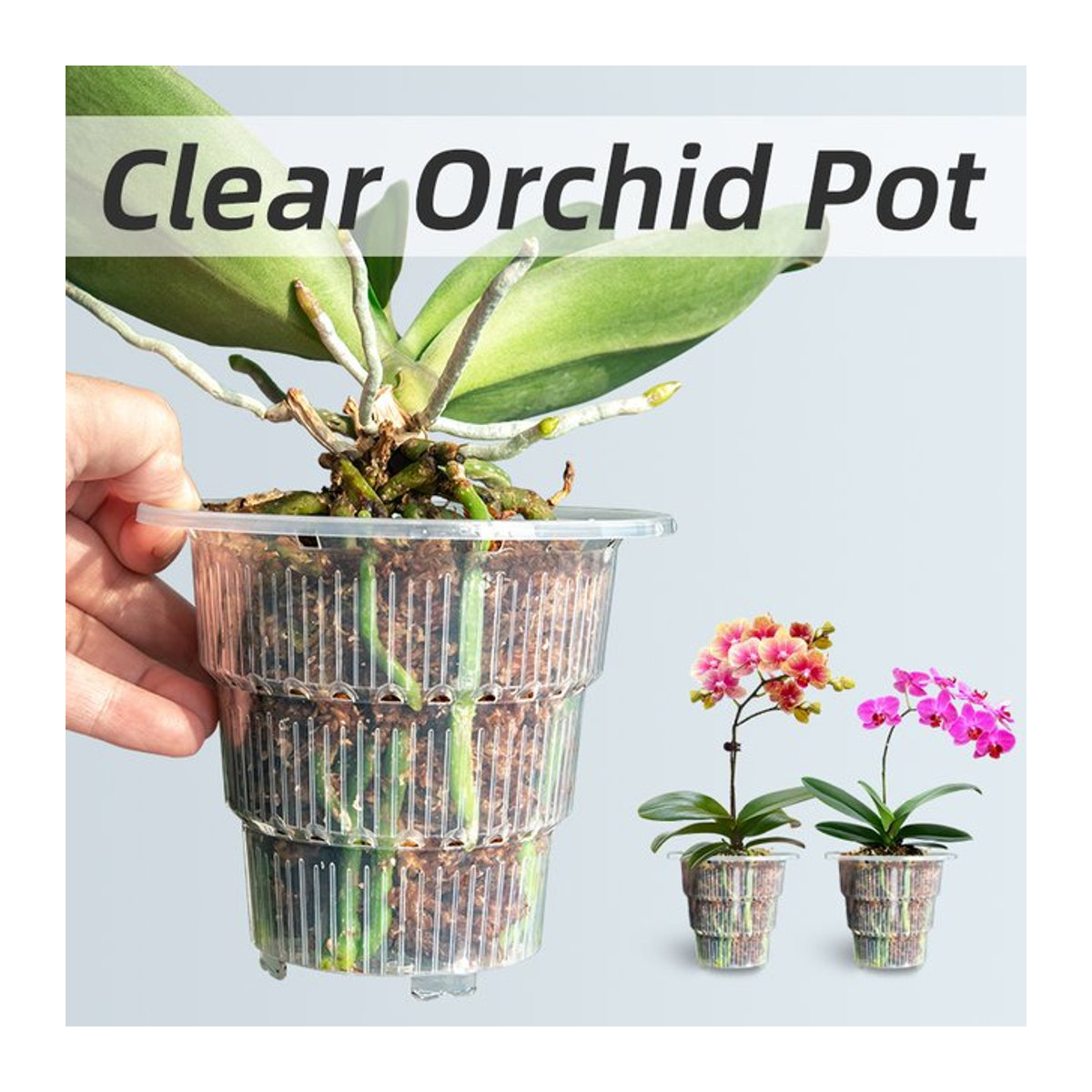 Meshpot Transparente Orchideentöpfe mit Untertassen zur Wurzelkontrolle für kleine Orchideen - Bild 1