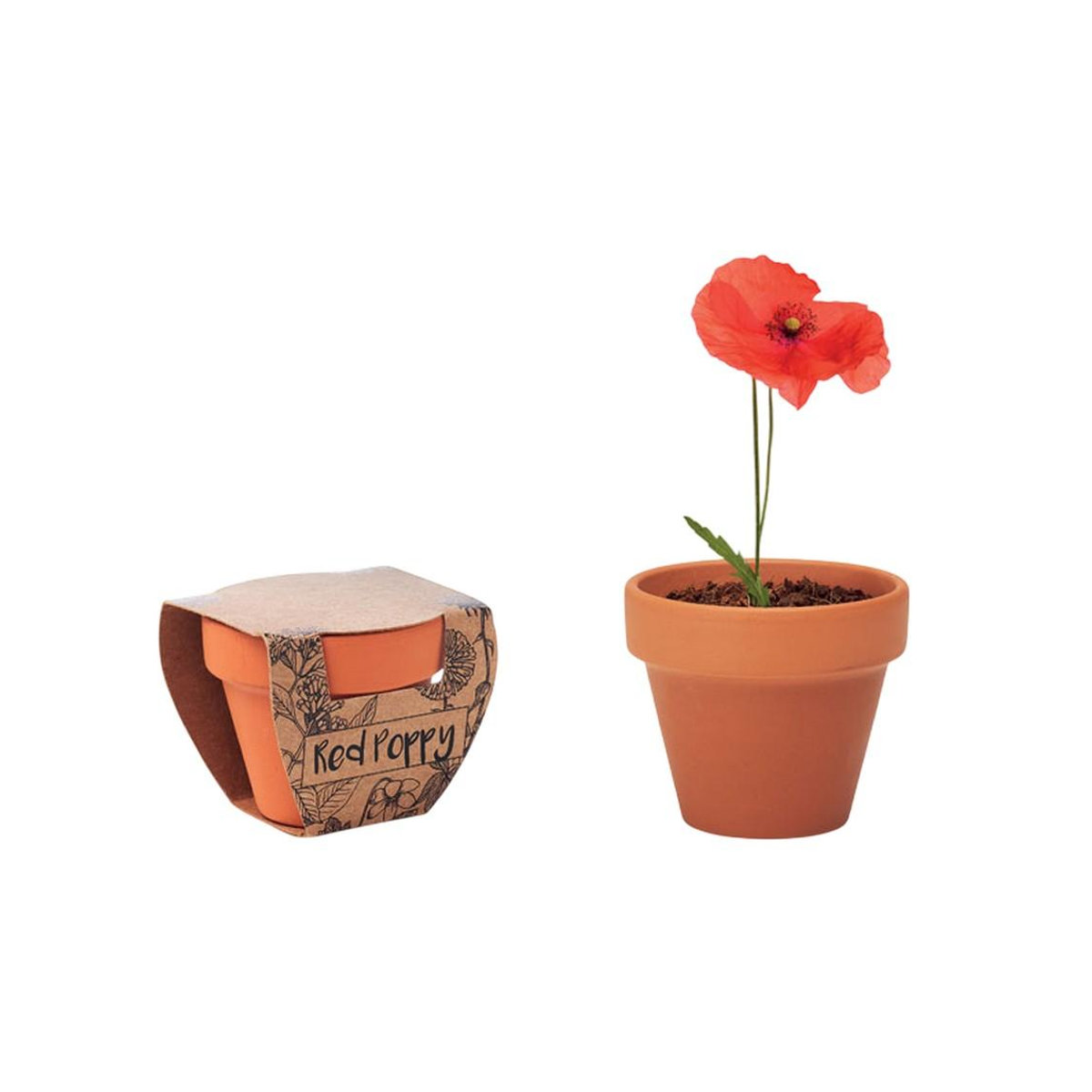 MidOcean Terrakotta Pflanztopf Roter Mohn in Braun und Holzoptik - Bild 1