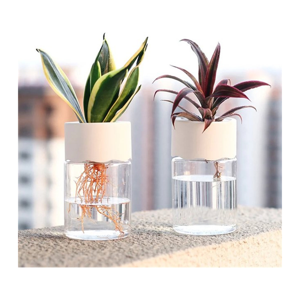 Mini Hydroponik Blumentopf in transparenter Glasoptik als dekorative Vase für deine Zimmerpflanzen - Bild 1