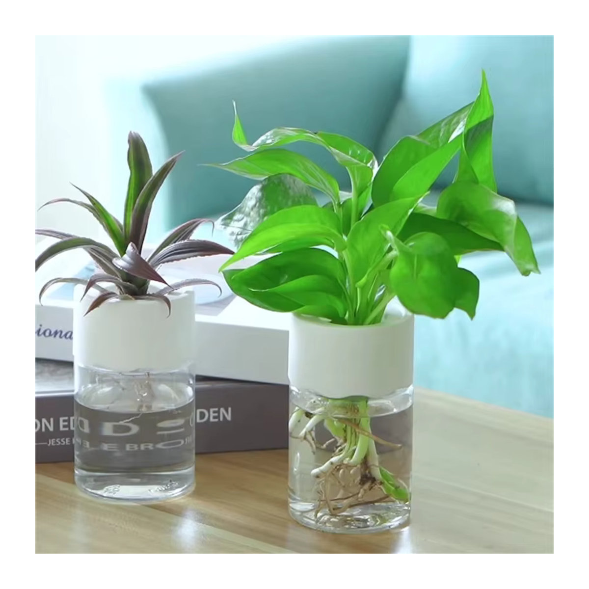 Mini Hydroponik Blumentopf in transparenter Glasoptik als dekorative Vase für deine Zimmerpflanzen - Bild 2
