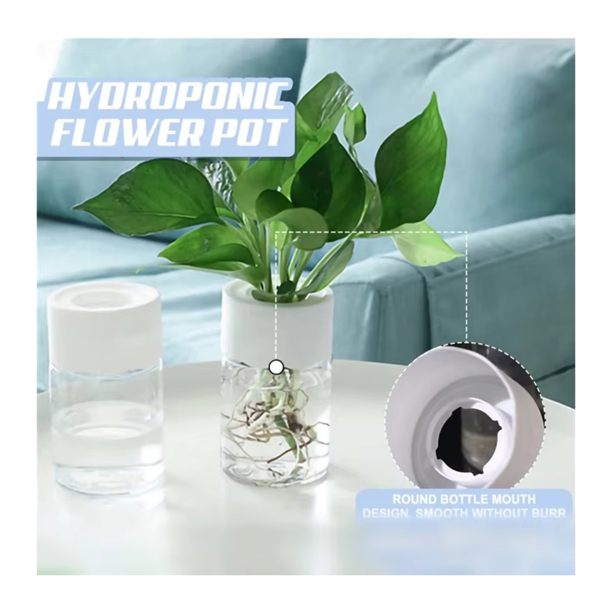 Mini Hydroponik Blumentopf in transparenter Glasoptik als dekorative Vase für deine Zimmerpflanzen - Bild 3