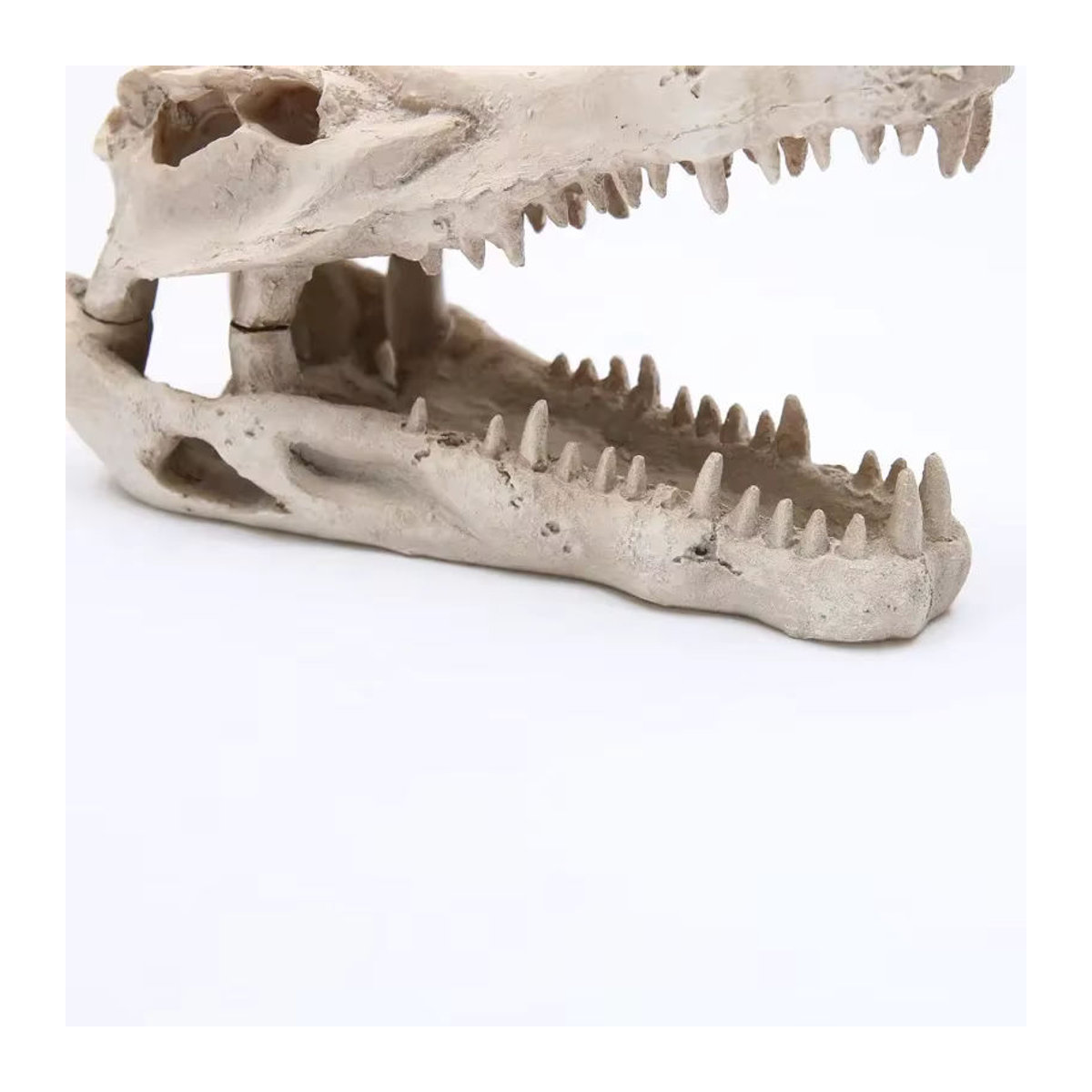 MINIDEAL Aquarium Dekoration Schädel aus Kunstharz in Beige als Halloween Unterwasser Ornament - Bild 3