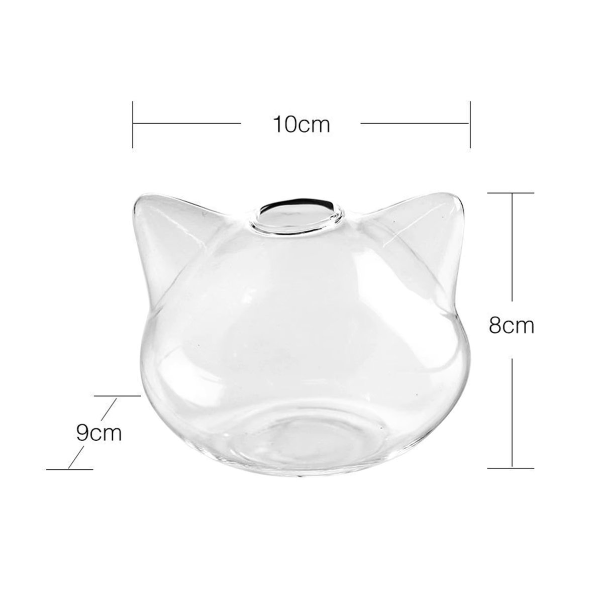 Moderne Hydrokultur-Glasvase mit Cartoon-Katze in Transparent für Sukkulenten und Luftpflanzen - Bild 2