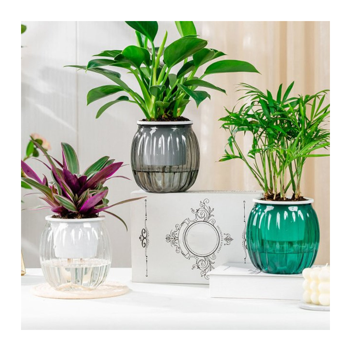 Moderne transparente selbstbewässernde Pflanzgefäße in Transparent Green für deinen Garten - Bild 1