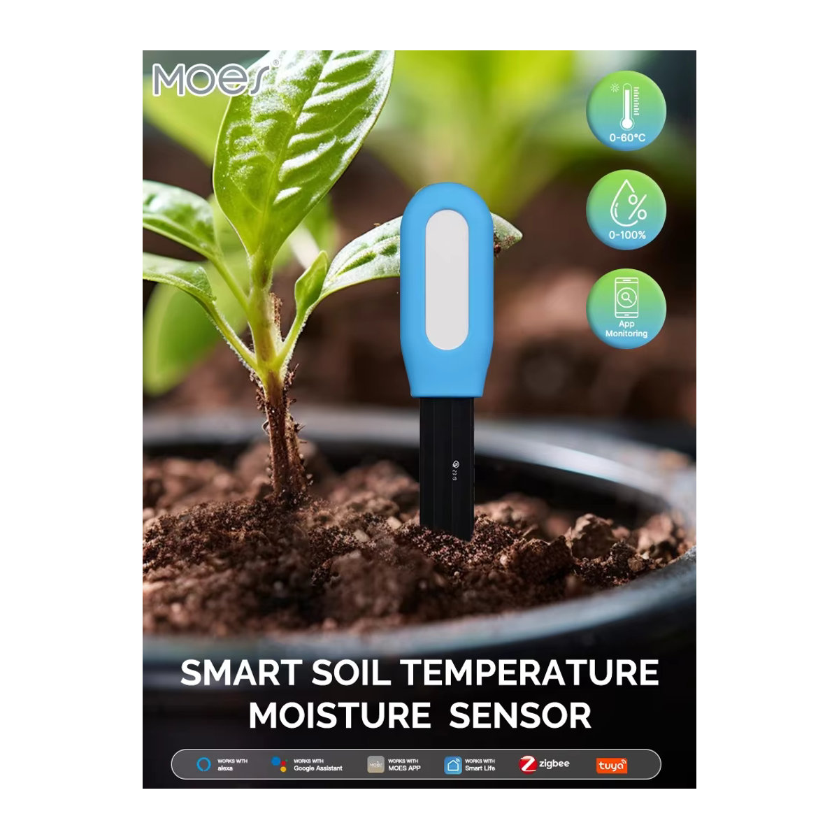 MOES Tuya ZigBee Bodenfeuchtigkeitssensor zur Überwachung von Temperatur und Feuchtigkeit für die Gartenautomatisierung und Bewässerung - Bild 6