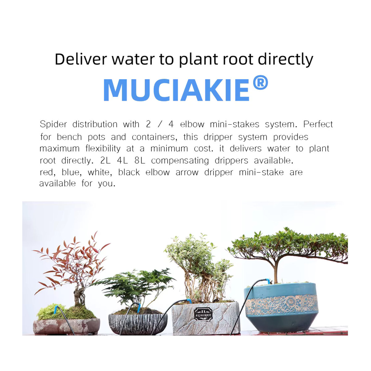 MUCIAKIE Bewässerungs-Set für Gewächshäuser mit Mini-Stake-System, Verteilungselbogen und Pfeil-Tropfern für 3/5mm Tropfbewässerung - Bild 2
