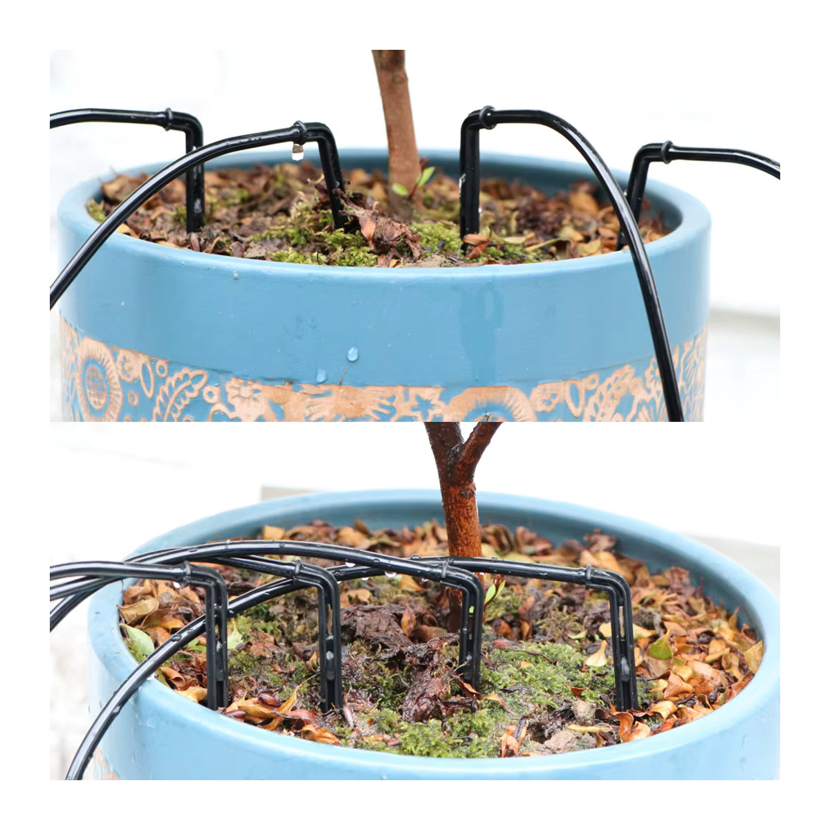 MUCIAKIE Bewässerungs-Set für Gewächshäuser mit Mini-Stake-System, Verteilungselbogen und Pfeil-Tropfern für 3/5mm Tropfbewässerung - Bild 5