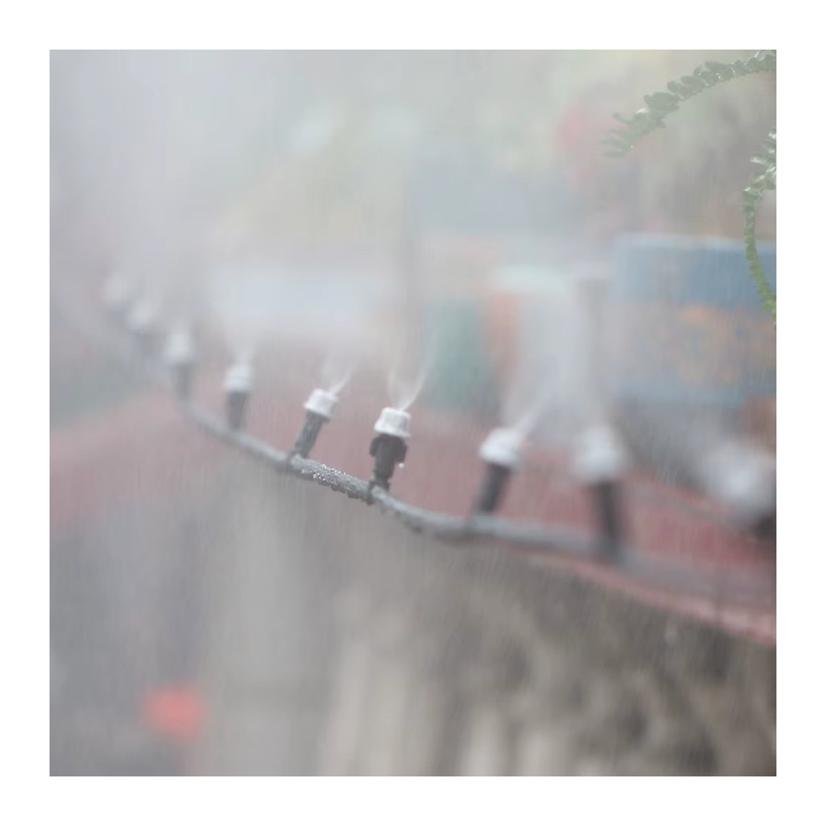 MUCIAKIE Selbstansaugende Gartenpumpe 45W mit Netzteil für automatisches Bewässerungs- und Beschlagungssystem - Bild 5