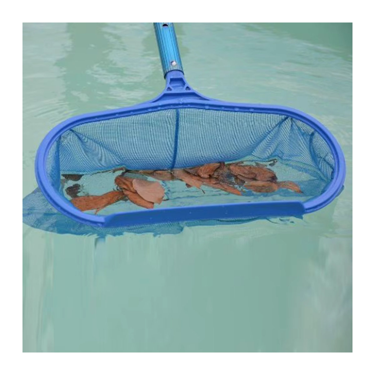 Multifunktionales Tiefwasser-Reinigungsnetz mit Griff für Außenpools in Blau - Bild 3