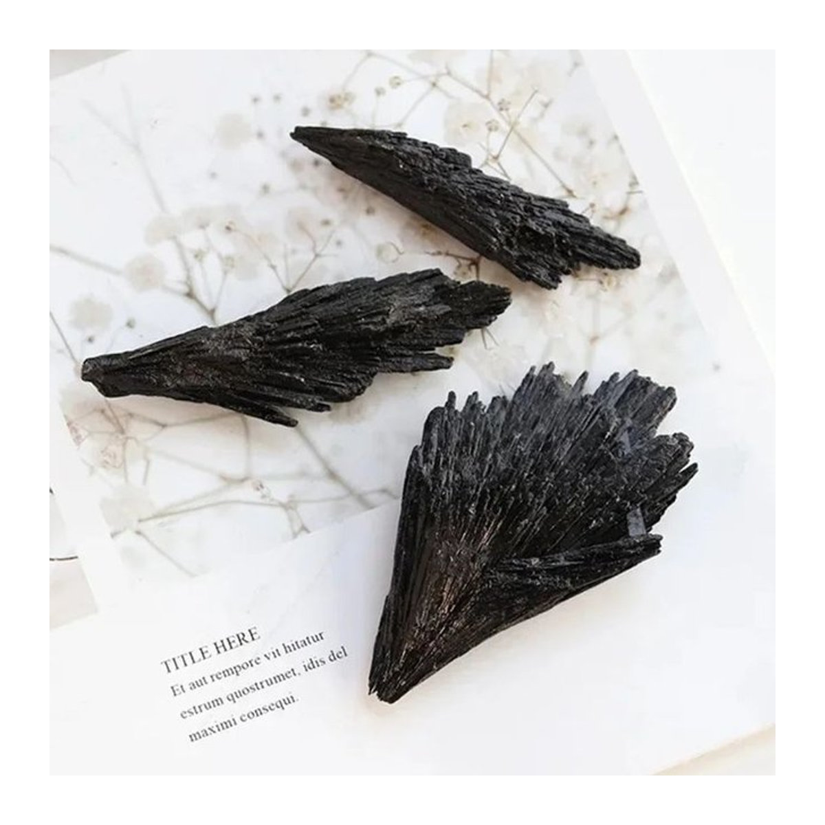 Natürlicher schwarzer Turmalin und Kyanit-Kristall in fächerförmiger Form als Mineralquarz - Bild 1
