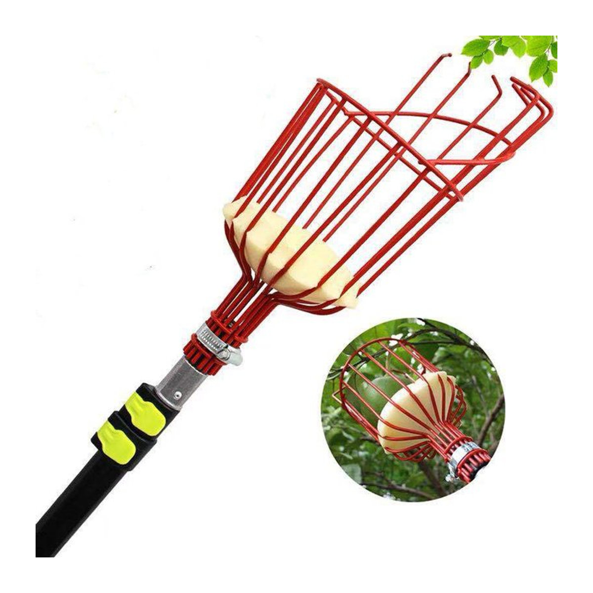 Obstpflücker mit tiefem Korb zur bequemen Ernte von Äpfeln und Pfirsichen für Garten und Bauernhof - Bild 1