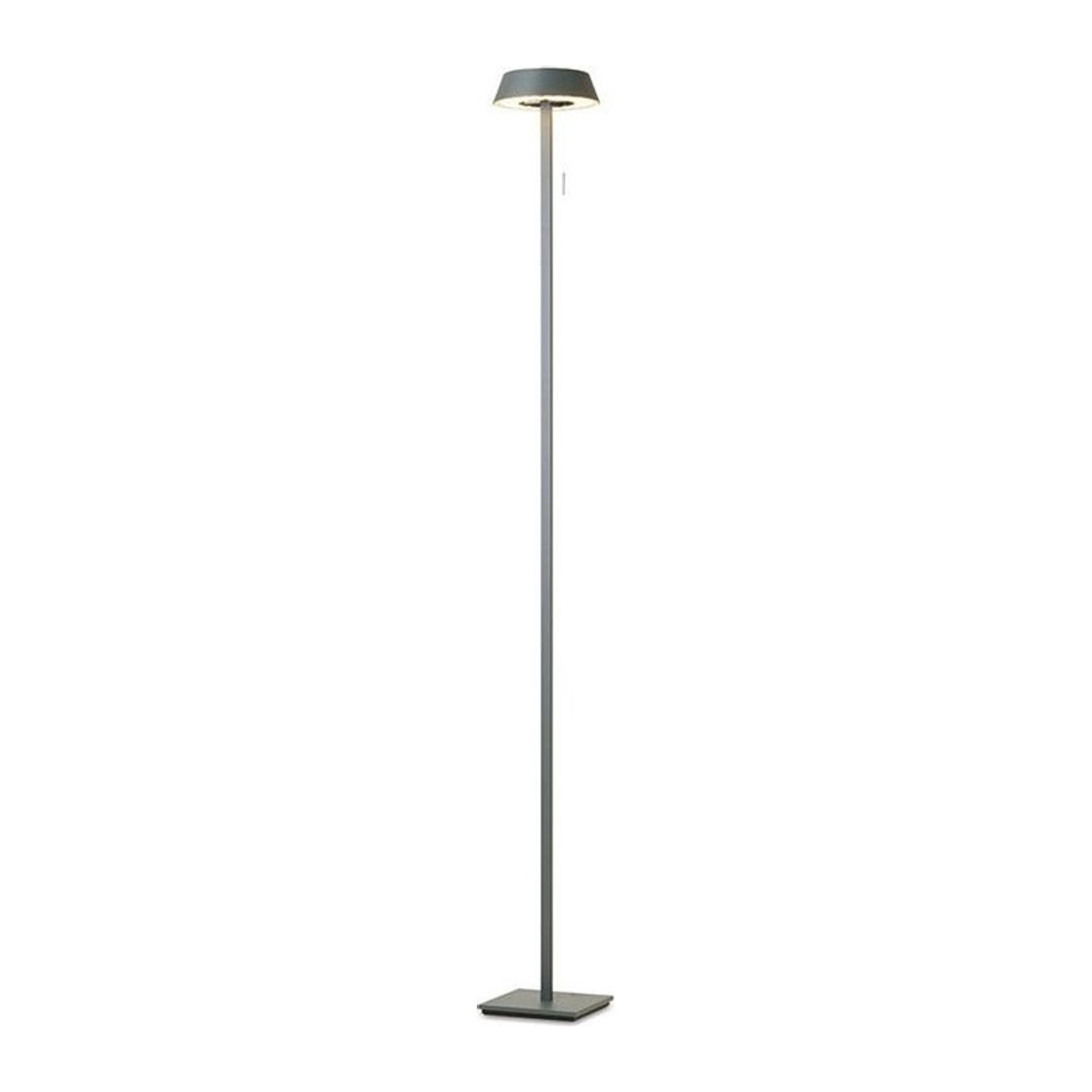 Oligo Glance Gerade LED-Stehleuchte in Grau matt mit warmweißem Licht für ein modernes und minimalistisches Ambiente - Bild 1