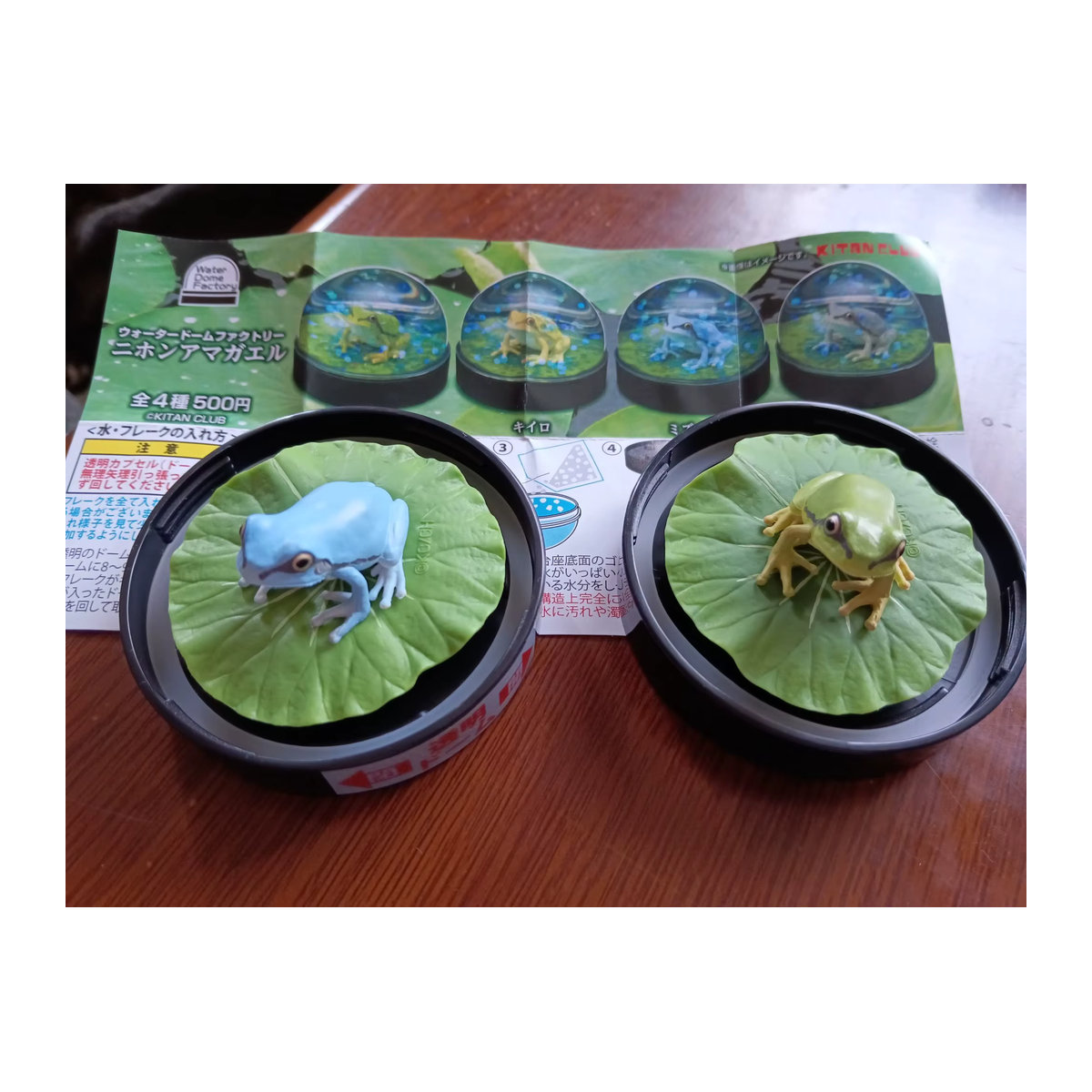 Origina Water Dome Factory Kapselspielzeug Japanischer Baumfrosch auf Otusblatt in Grün mit transparenten funkelnden Flocken als Schneekugel-Ornamentfigur - Bild 3