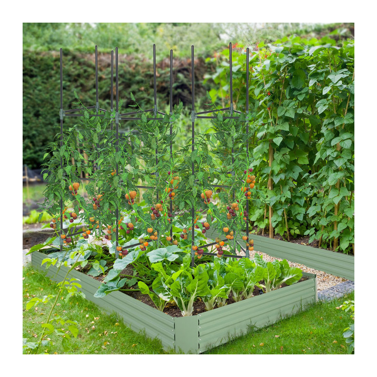 Outsunny Rankhilfe 3er-Set Pflanzenhalter aus Stahl in Grün für Kletterpflanzen und Tomatenkäfige B/T/H: 38 x 38 x 182 cm - Bild 2